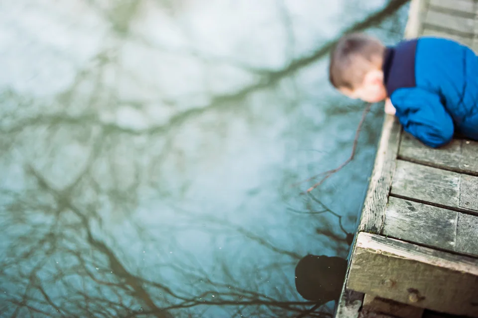 FreelensingLife-reflection.jpg