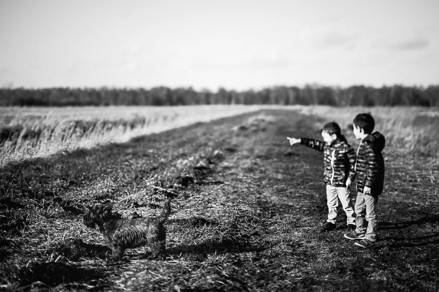 Two boys standing in open field looking towards Holme Fen