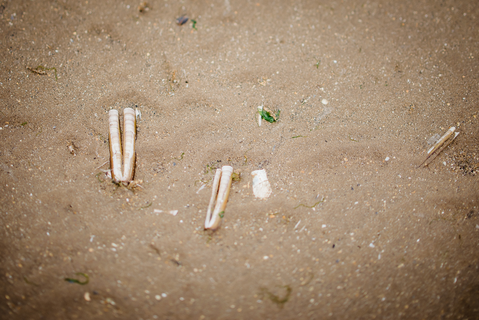 Beach finds on Hunstanton beach