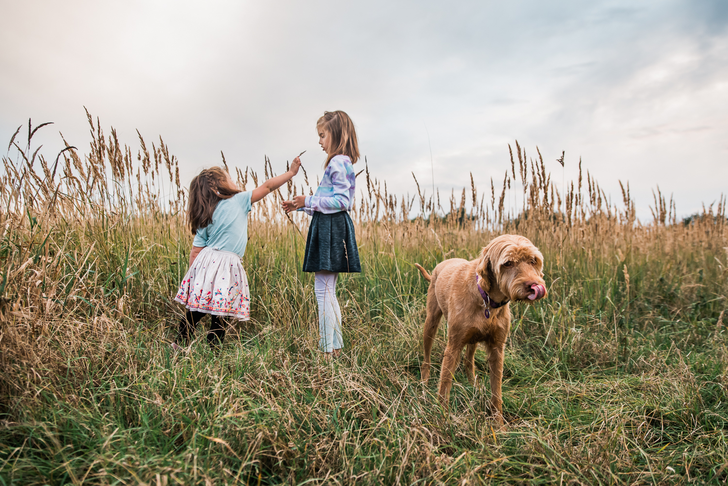 Children and their Hungarian Vizsla family pet in the grassland 