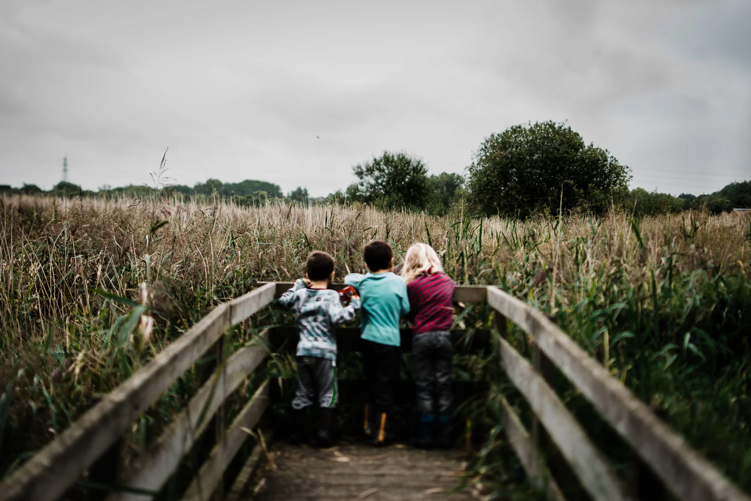 Free 52 project: September &amp; October | by Cambridge photographer Diana Hagues