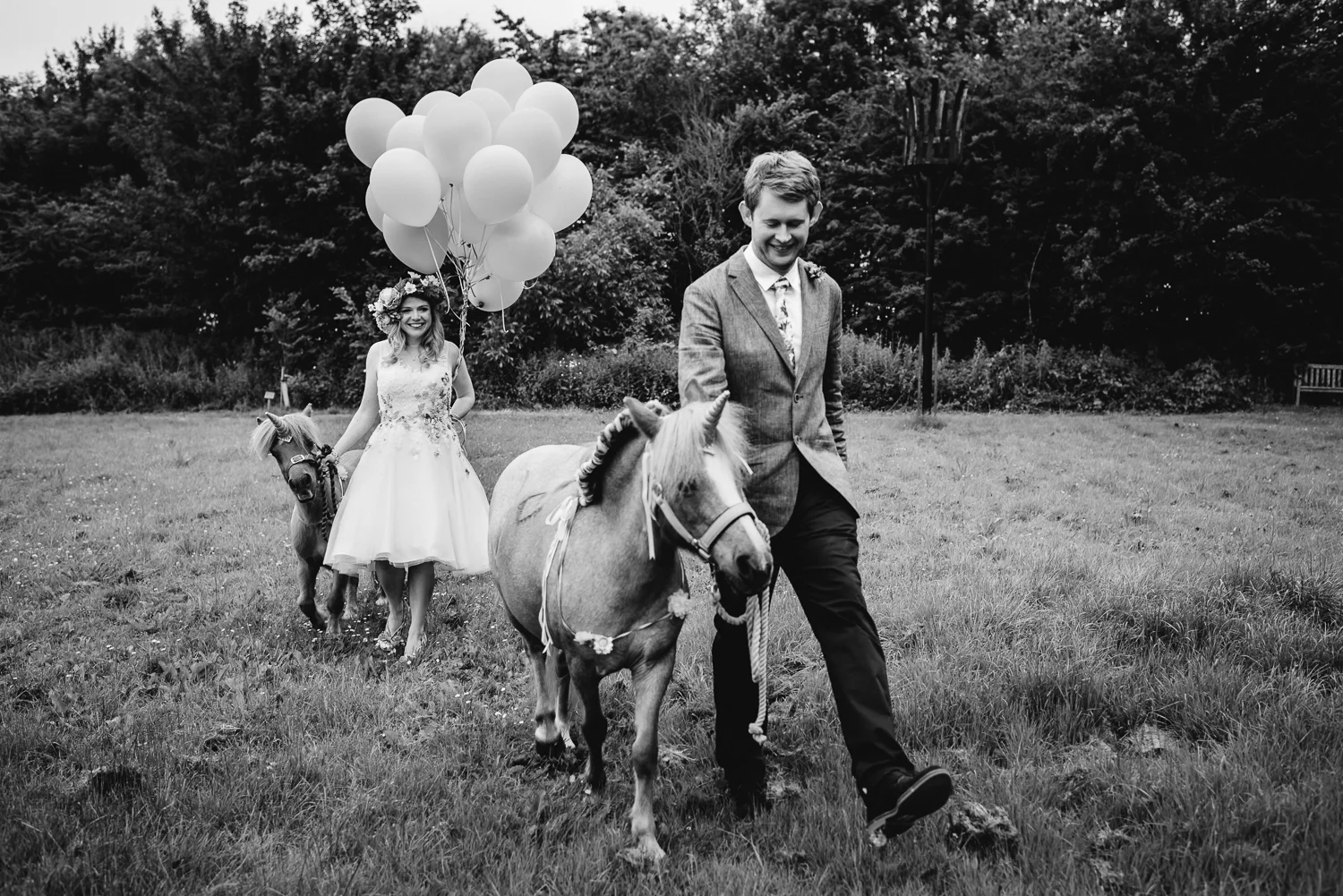 Bride and groom walking their shetland pony unicorns in the vill