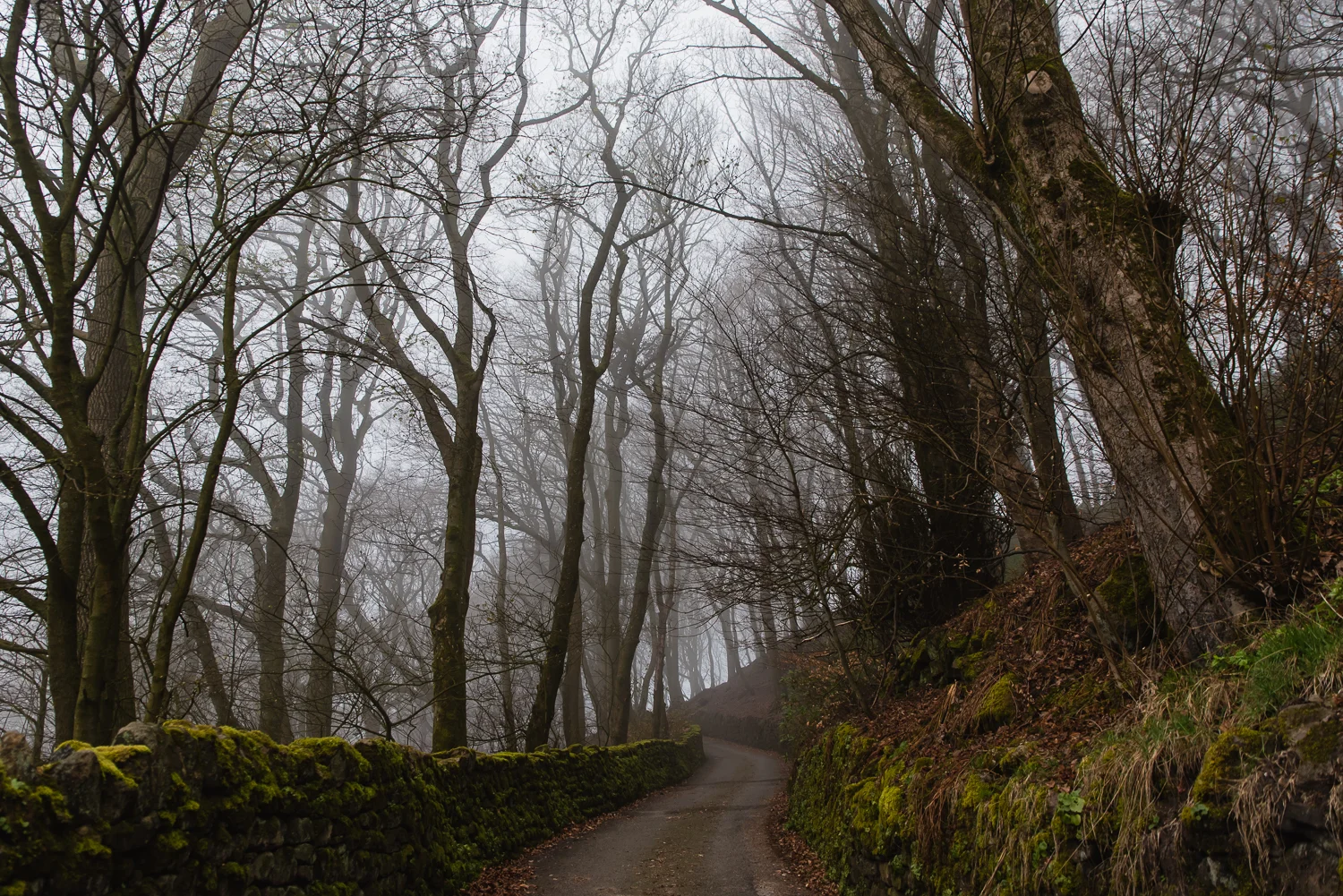 Road leading up Cragg Hall in West Yorkshire
