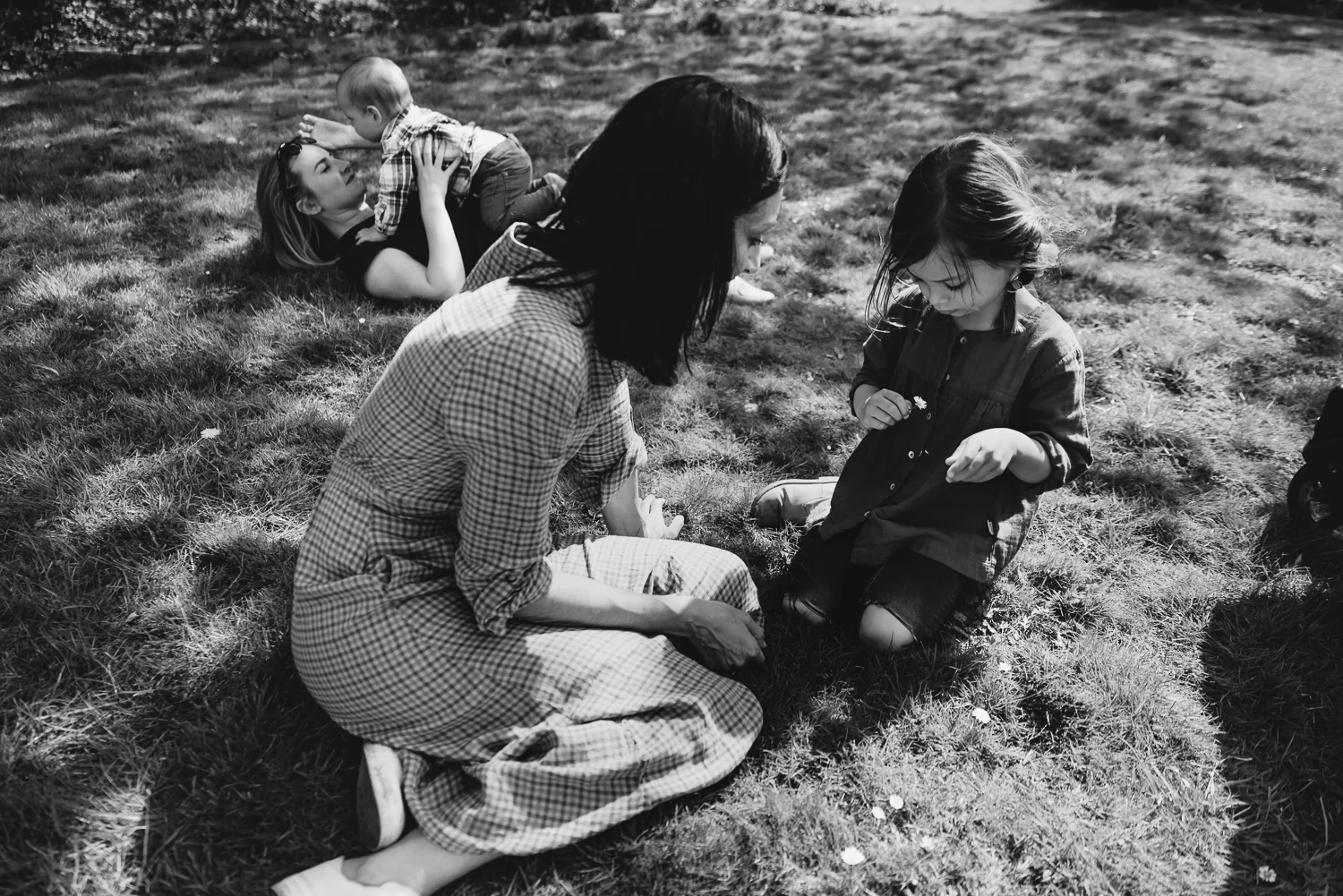 A family relaxes on the grass under the shade of a tree taken in Wandlebury country park in Cambridge