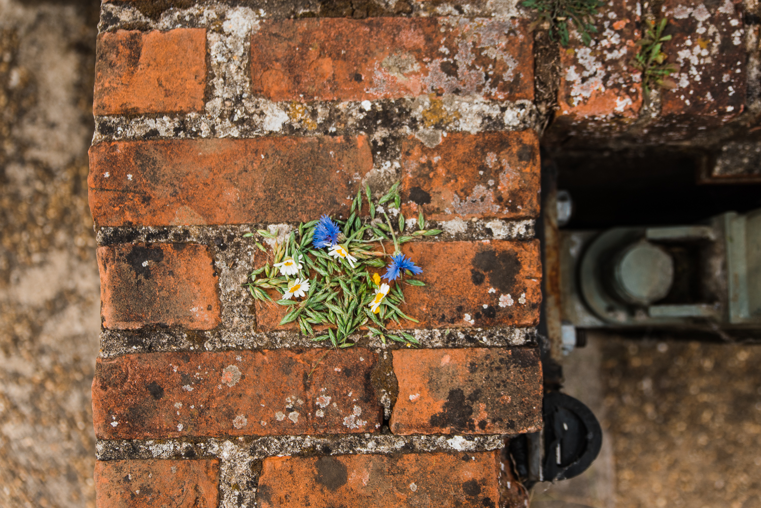 Huntingdon family photographer Houghton Mill photography