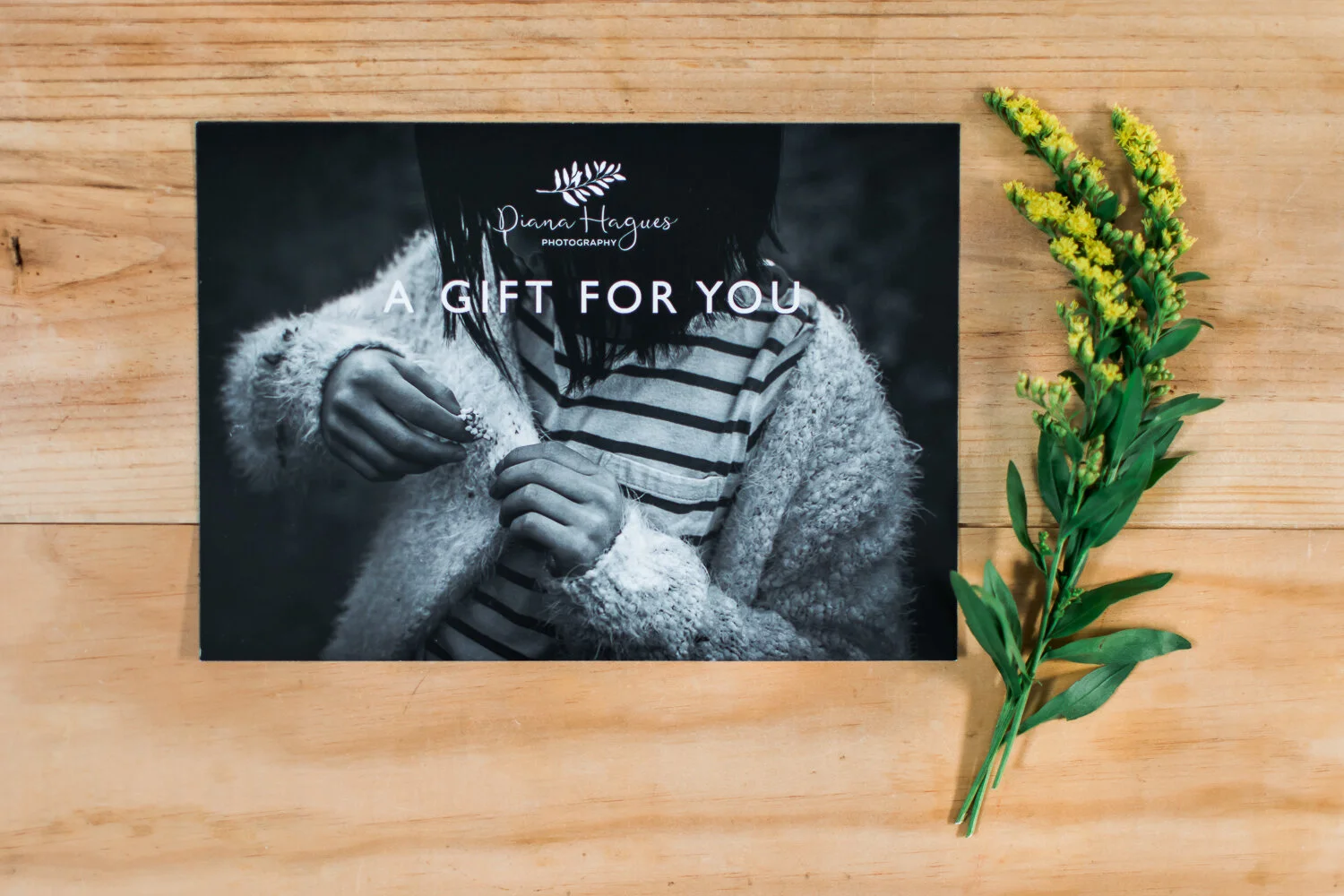 Photography-Gift-vouchers-cambridge-family-photographer.jpg