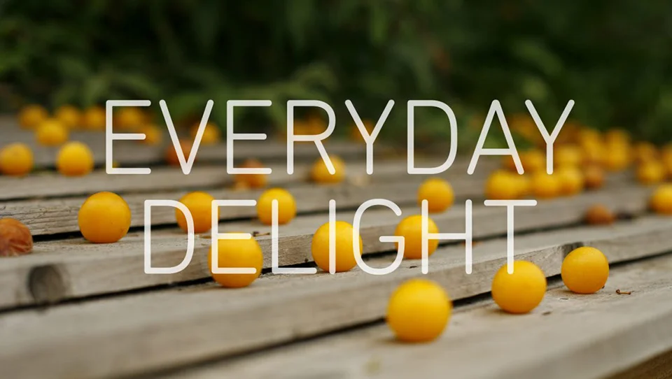 Everyday Delight Photography Exhibition | Free Space Project, Camden, London | Cambridge Photographer, Diana Hagues