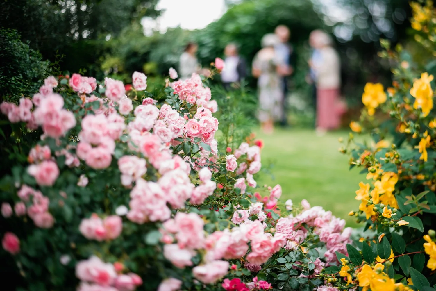 Intimate outdoor wedding in the Lincolnshire countryside