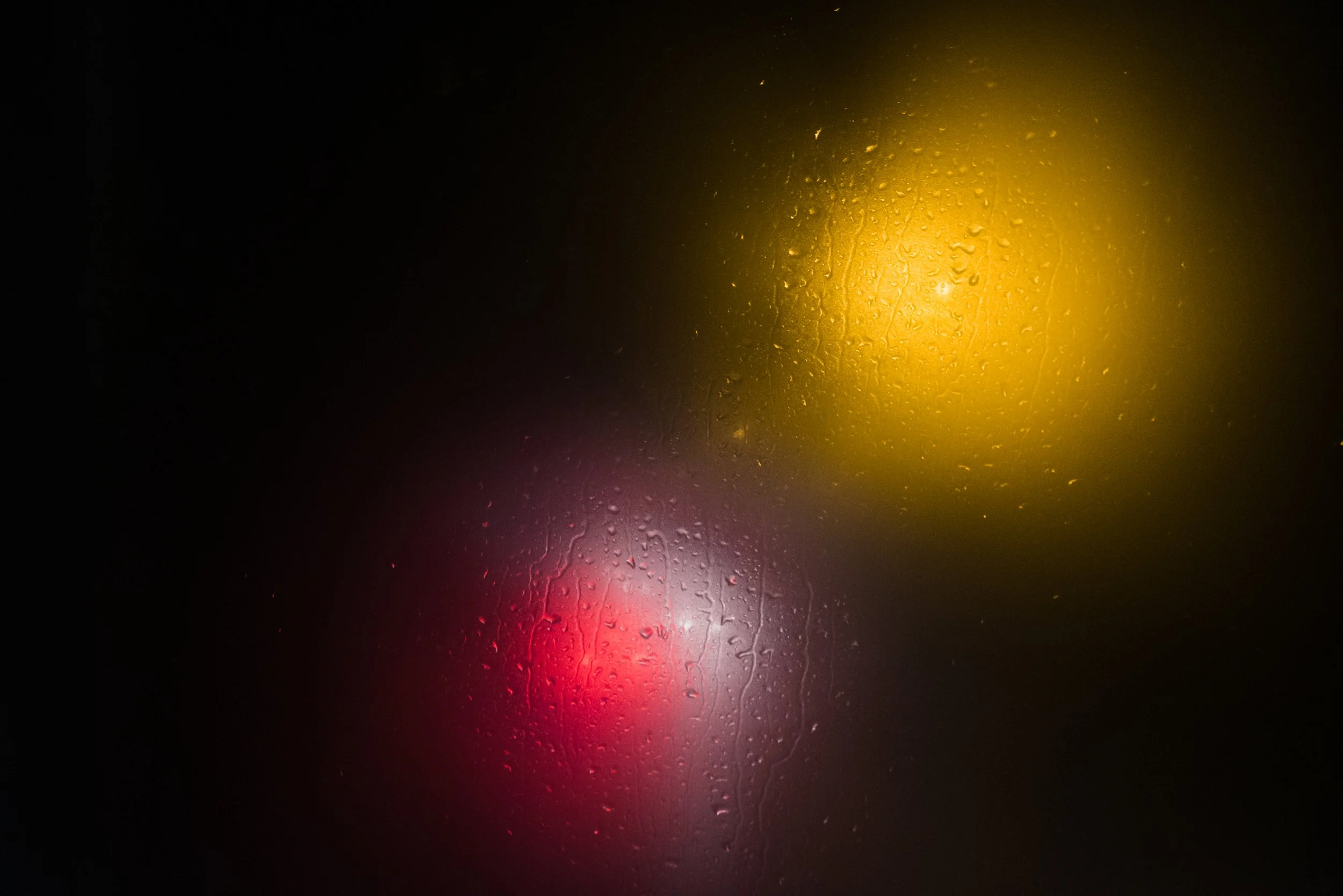 PUBLISHED WORK: Road Trip and Everyday Delight