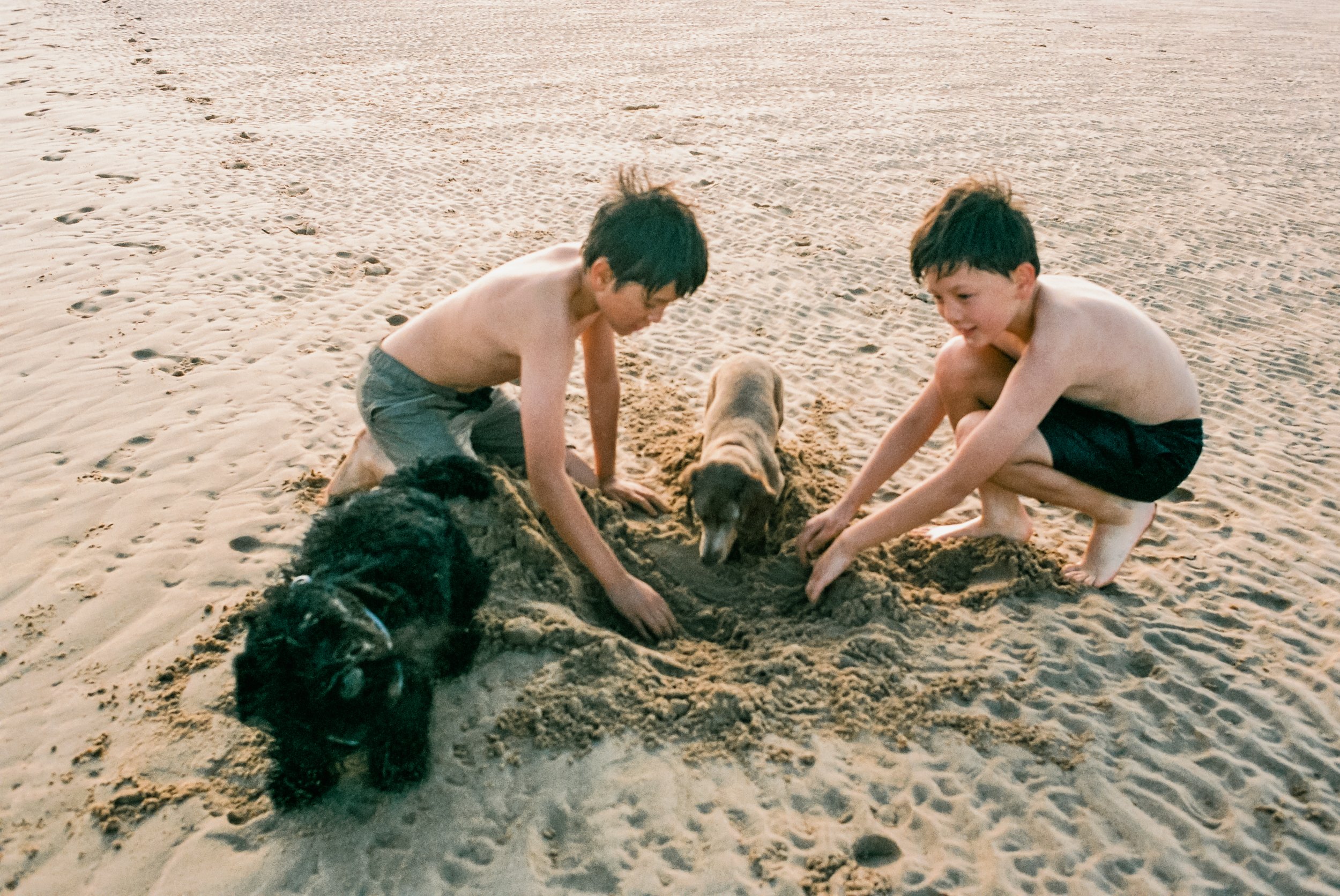 film_photography_documenting_childhood_summer_by_family_photographer_diana_hagues_10.jpg