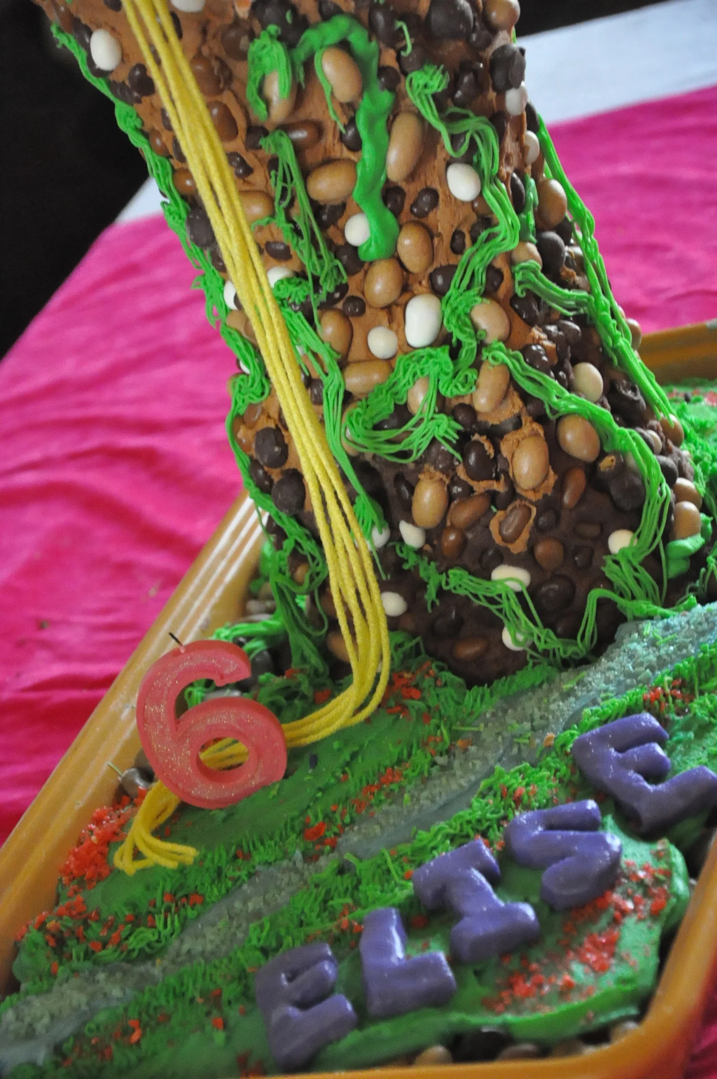 2014 03 29_tangled birthday_8837.JPG