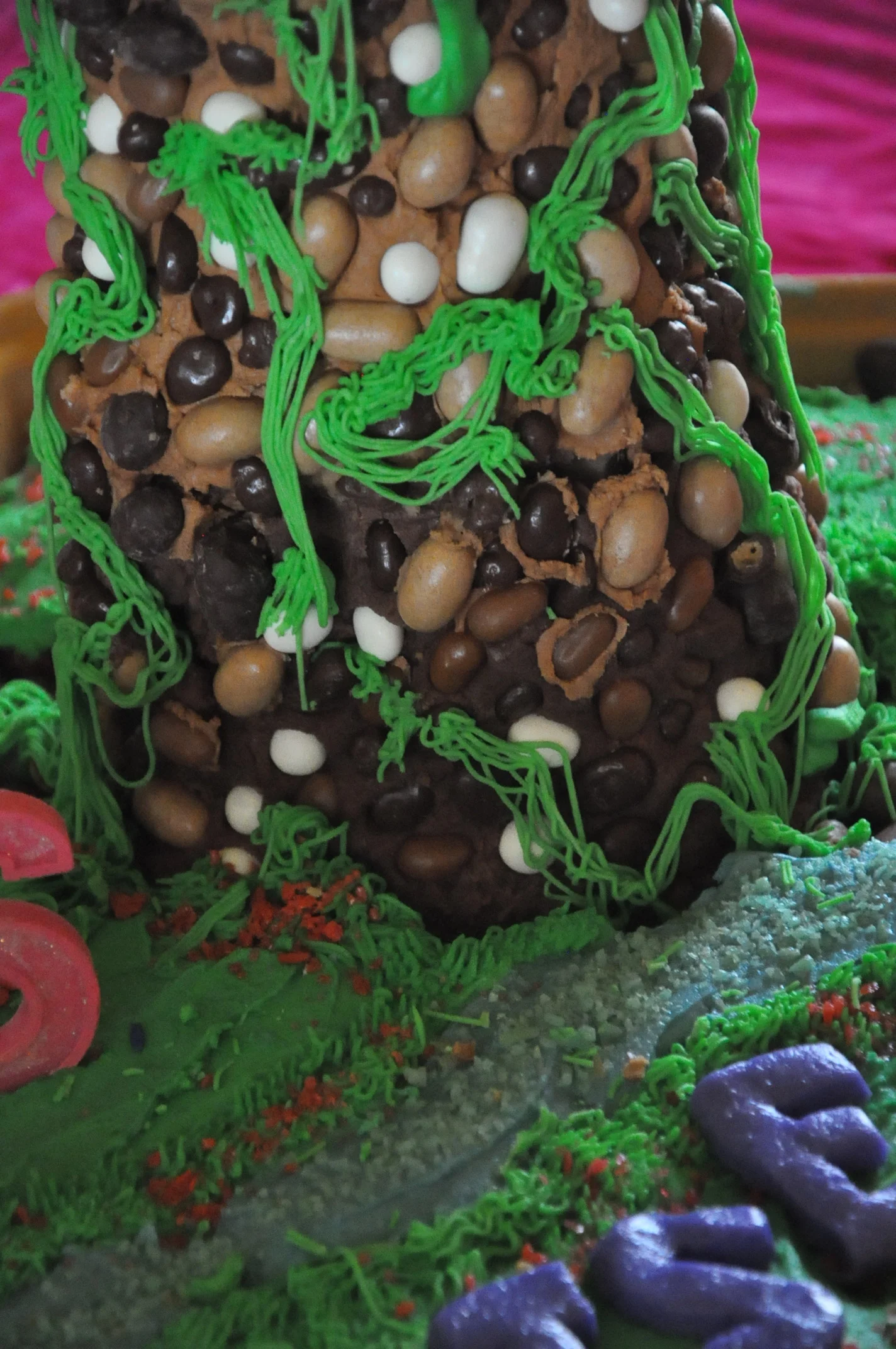 2014 03 29_tangled birthday_8829.JPG