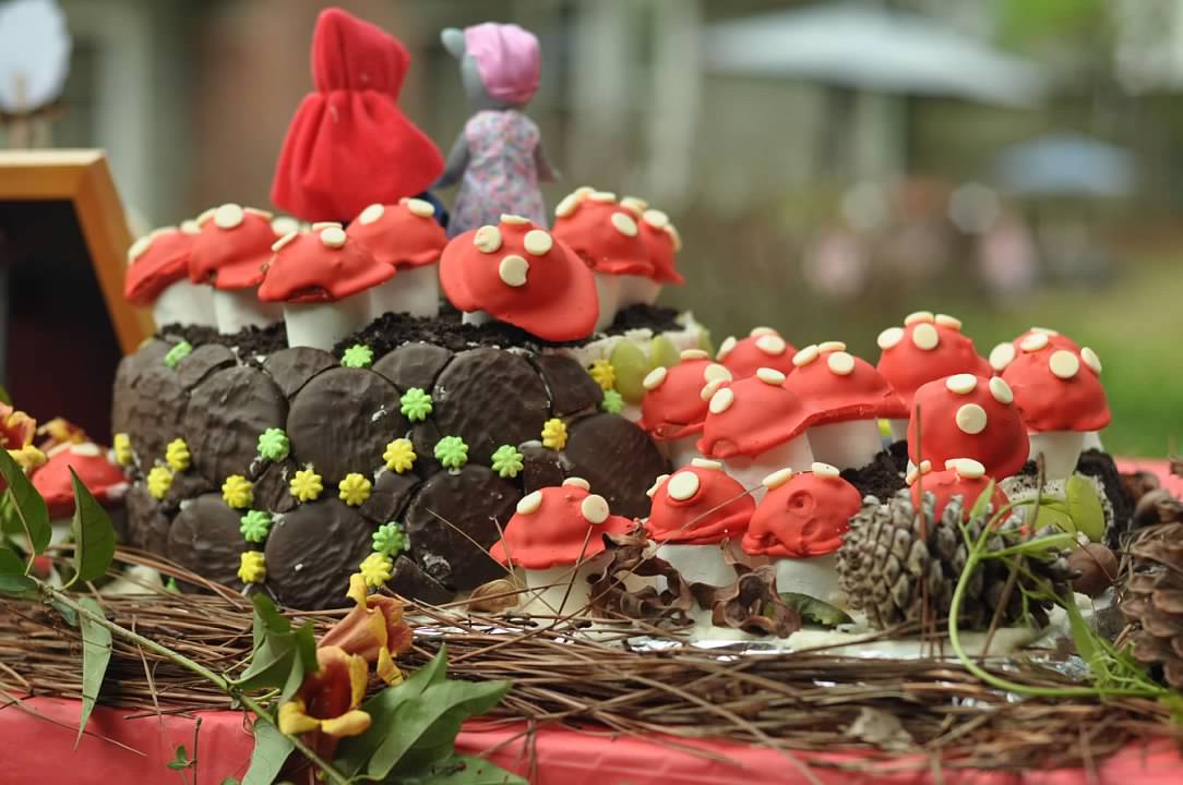 Haymount Homes Little Red Riding Hood Party Cake Mushroom.jpg