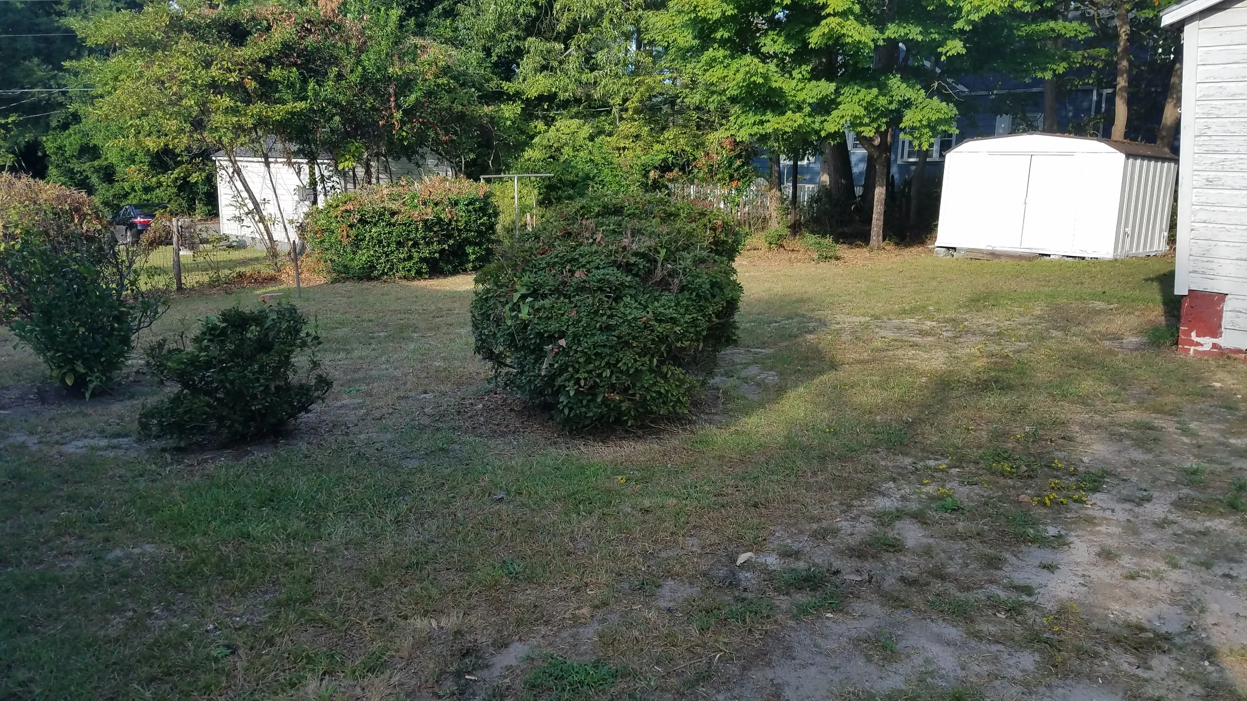 20180909_173439.jpg