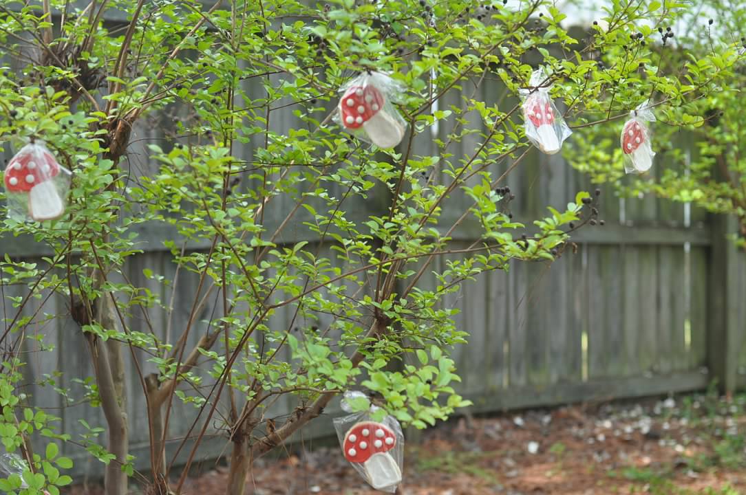 Haymount Homes Little Red Riding Hood Party Food Mushroom Cookie Tree.jpg