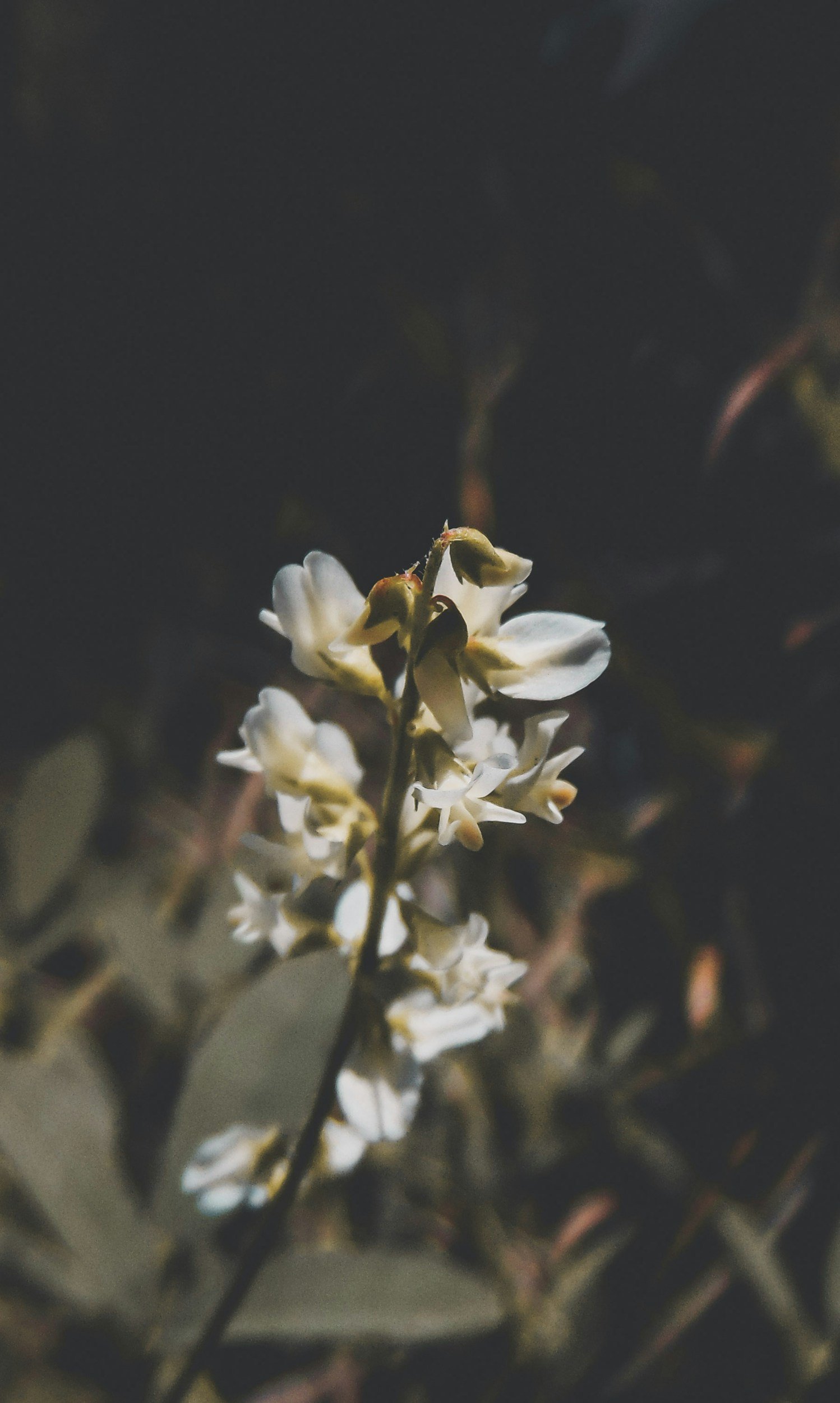 unsplash-image-4ThZFHUhCKE.jpg
