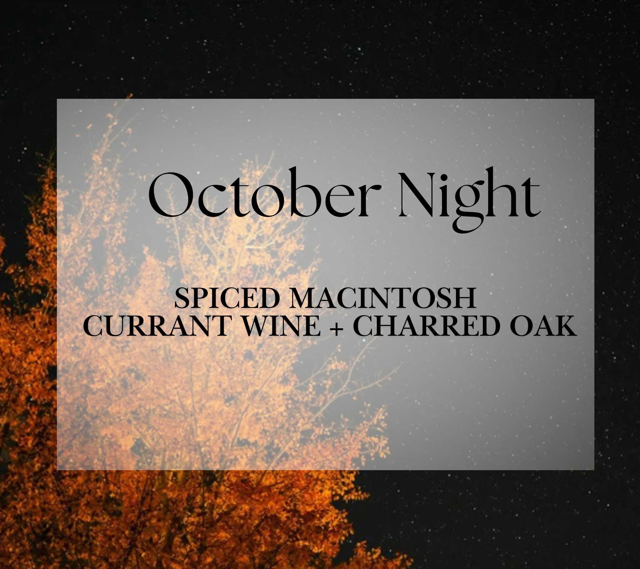 Haymount-Homes-The-Market-October-Night.png