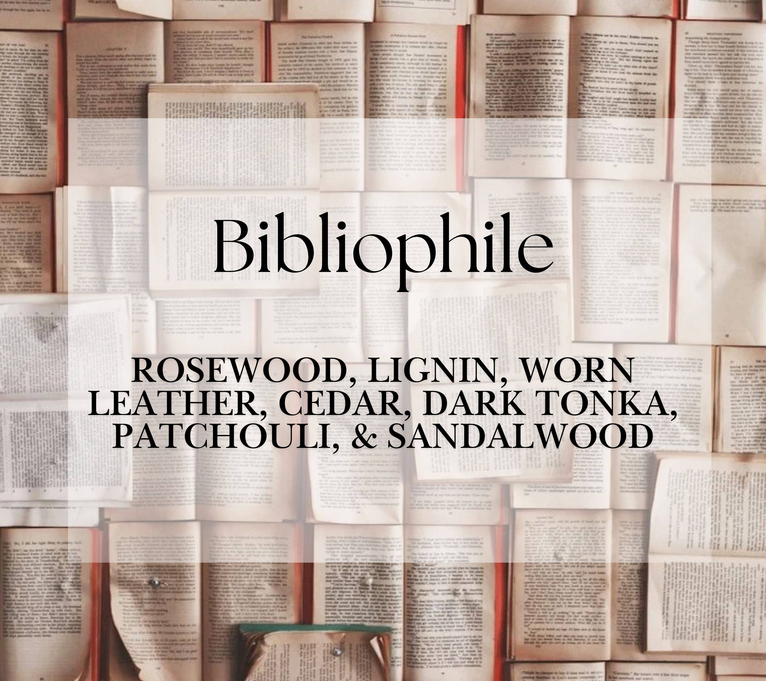 haymount homes bibliophile candle.png