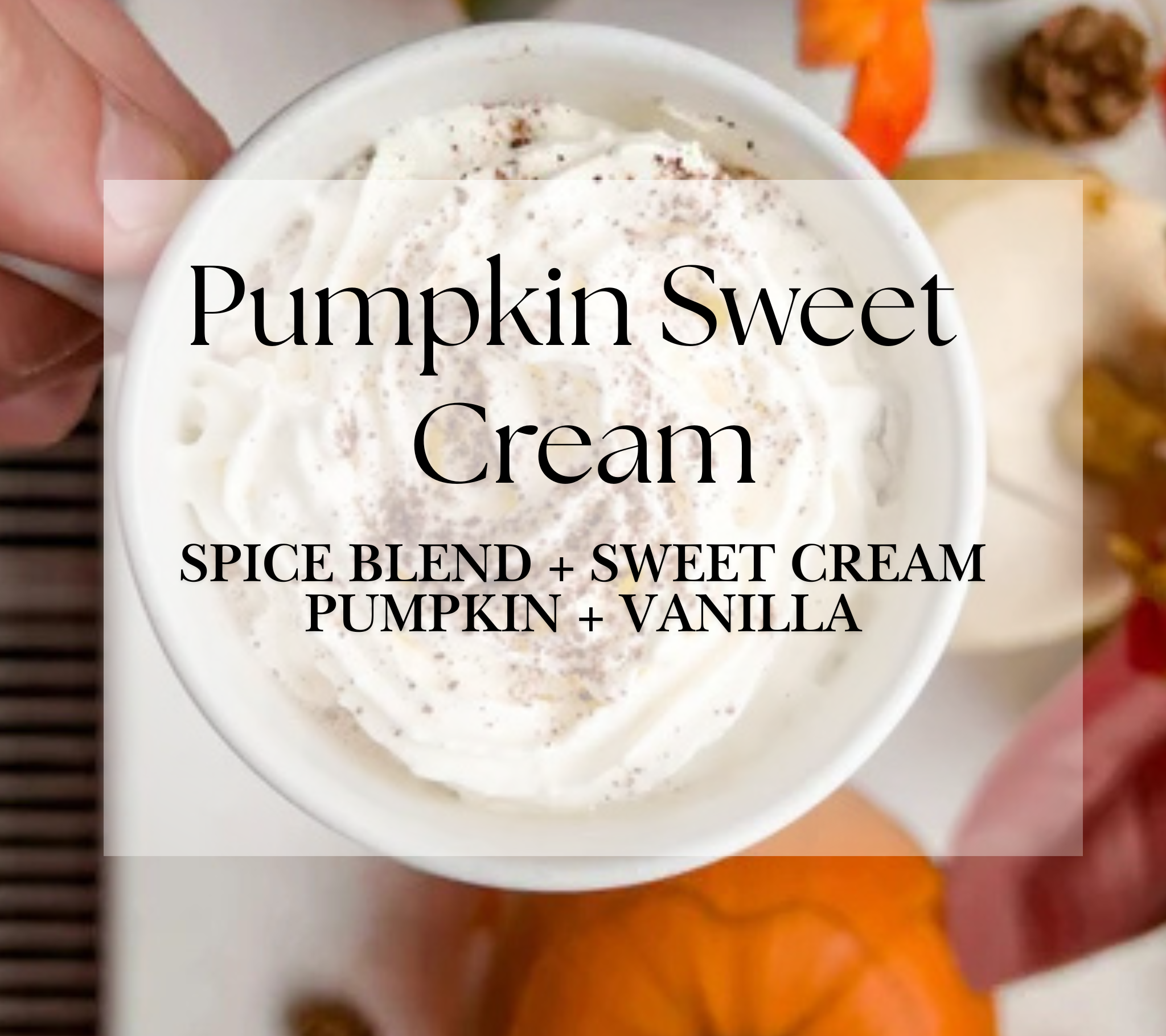 Haymount-Homes-The-Market-Pumpkin-Sweet-Cream.png