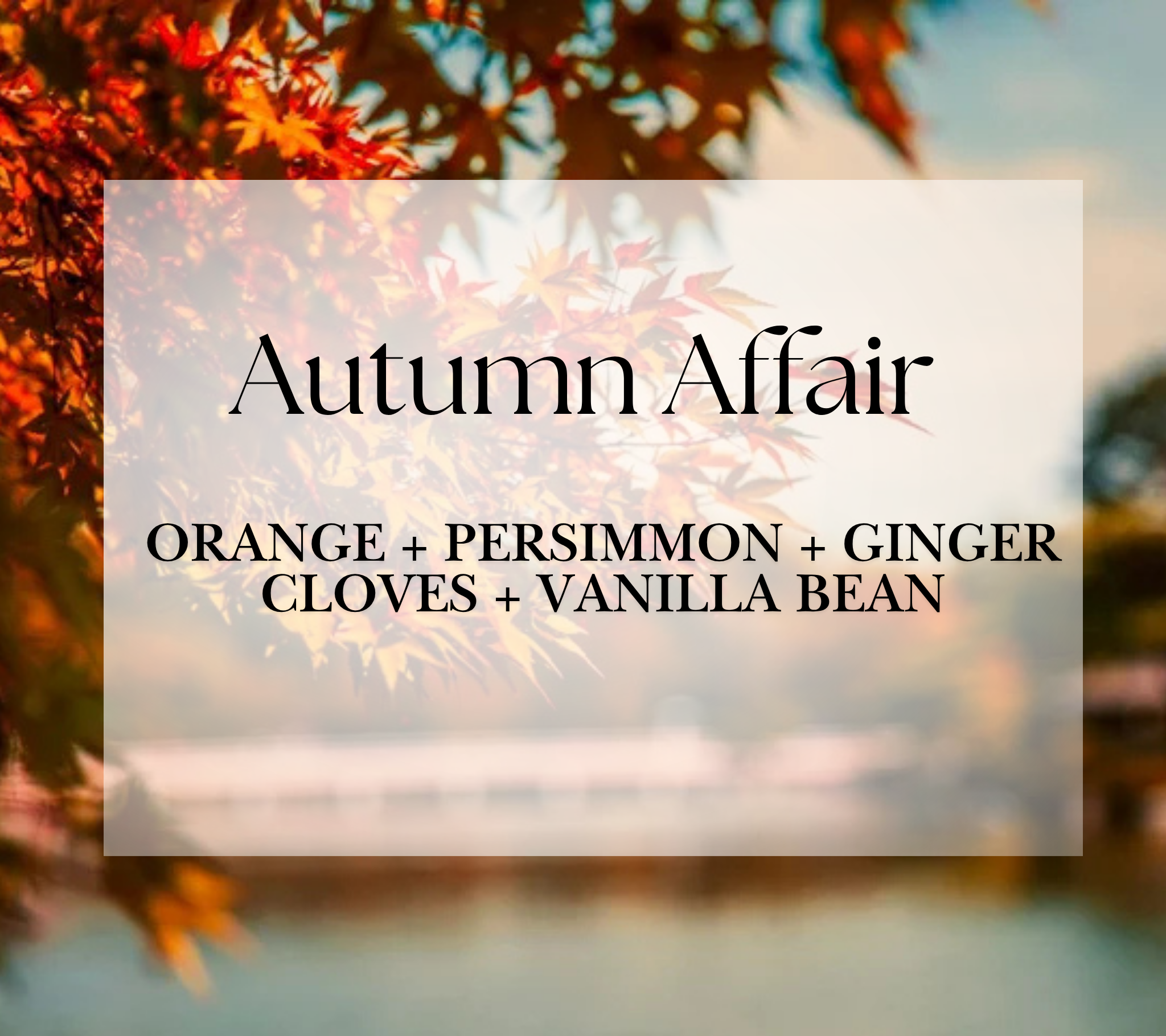 Haymount-Homes-The-Market--Autumn-Affair.png