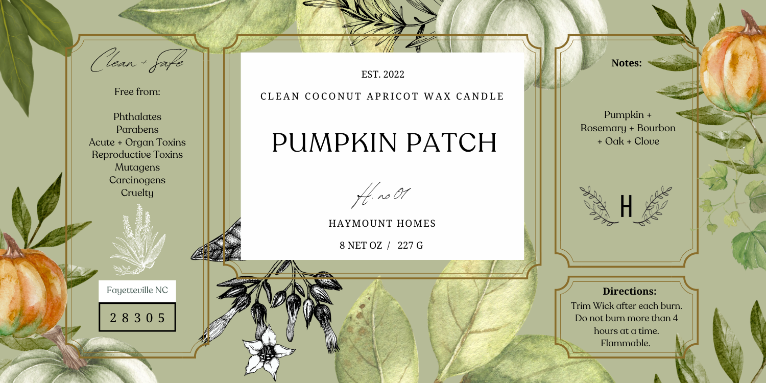 PUMPKIN PATCH CHUNK.png