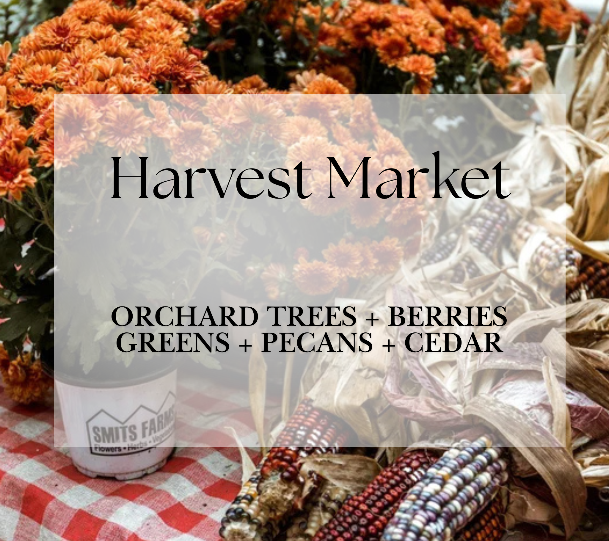 Haymount-Homes-The-Market-Harvest-Market.png