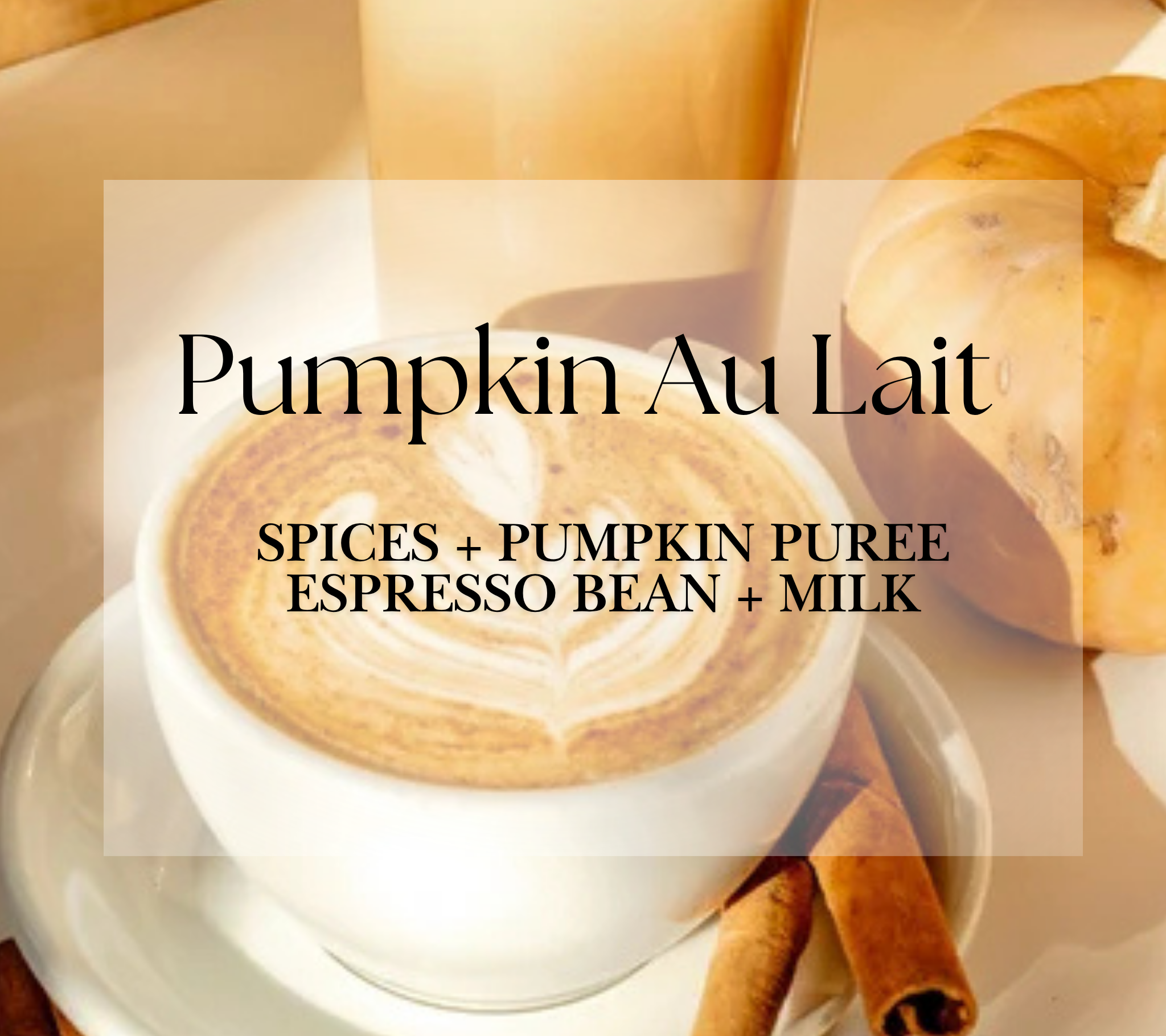 Haymount-Homes-The-Market-Pumpkin-Au-Lait.png