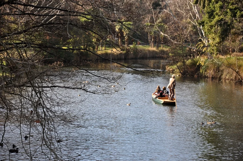 Punting on the Avon
