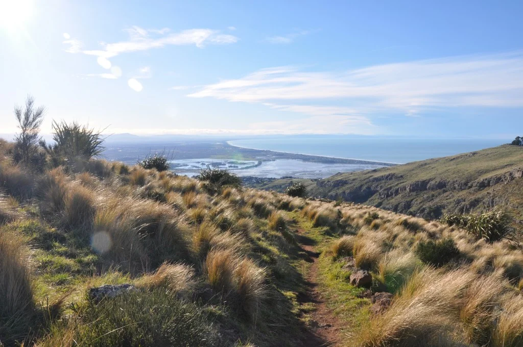 Top of the Gondola Ride, Christchurch