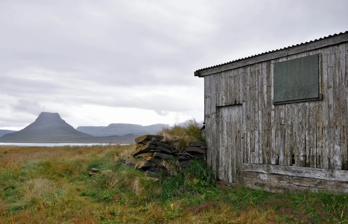 Vigur Island