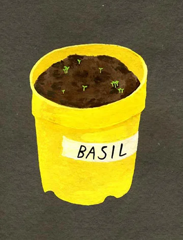 WEB_basil.jpg