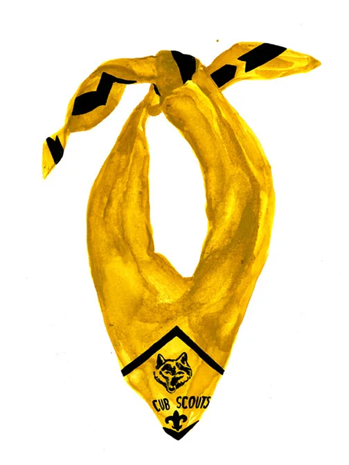 WEB_cubscouts.jpg
