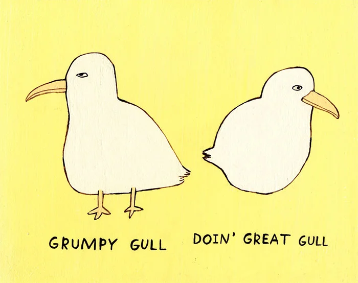 WEB_gulls.jpg