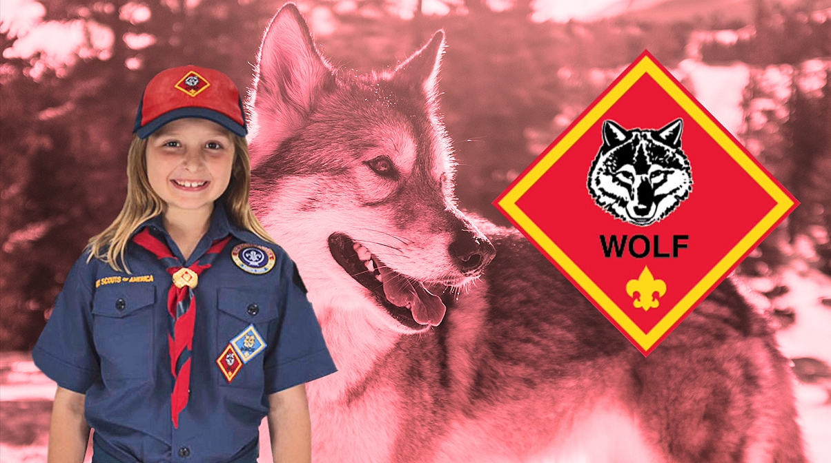 wolf-scout.jpg