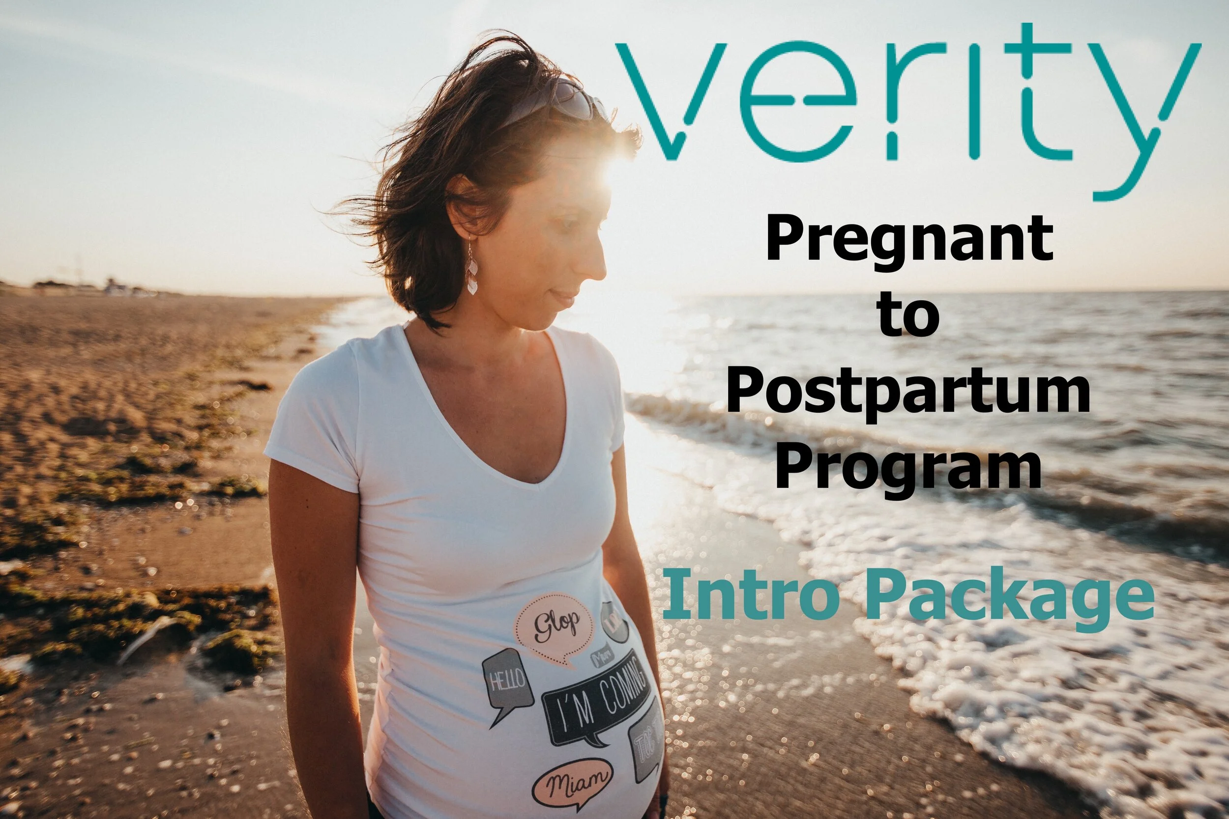 Pregnant-to-Postpartum Intro Program.jpeg