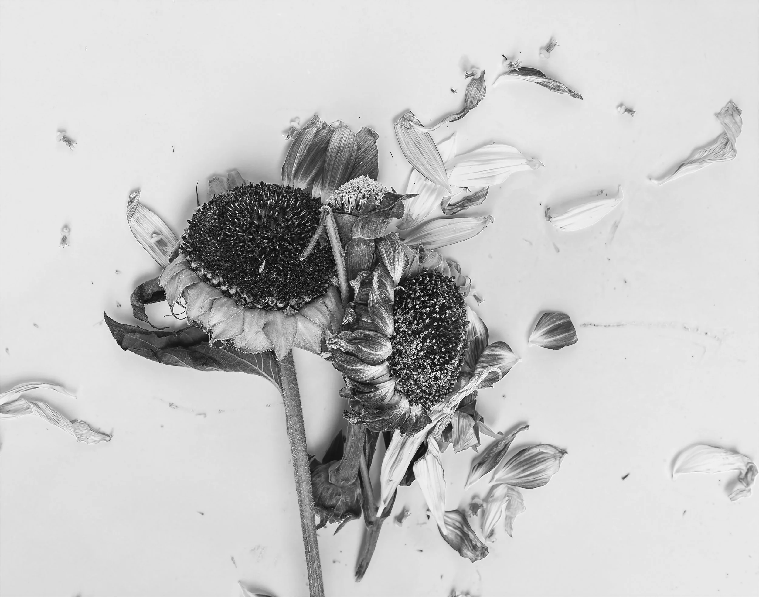Scattered Thoughts