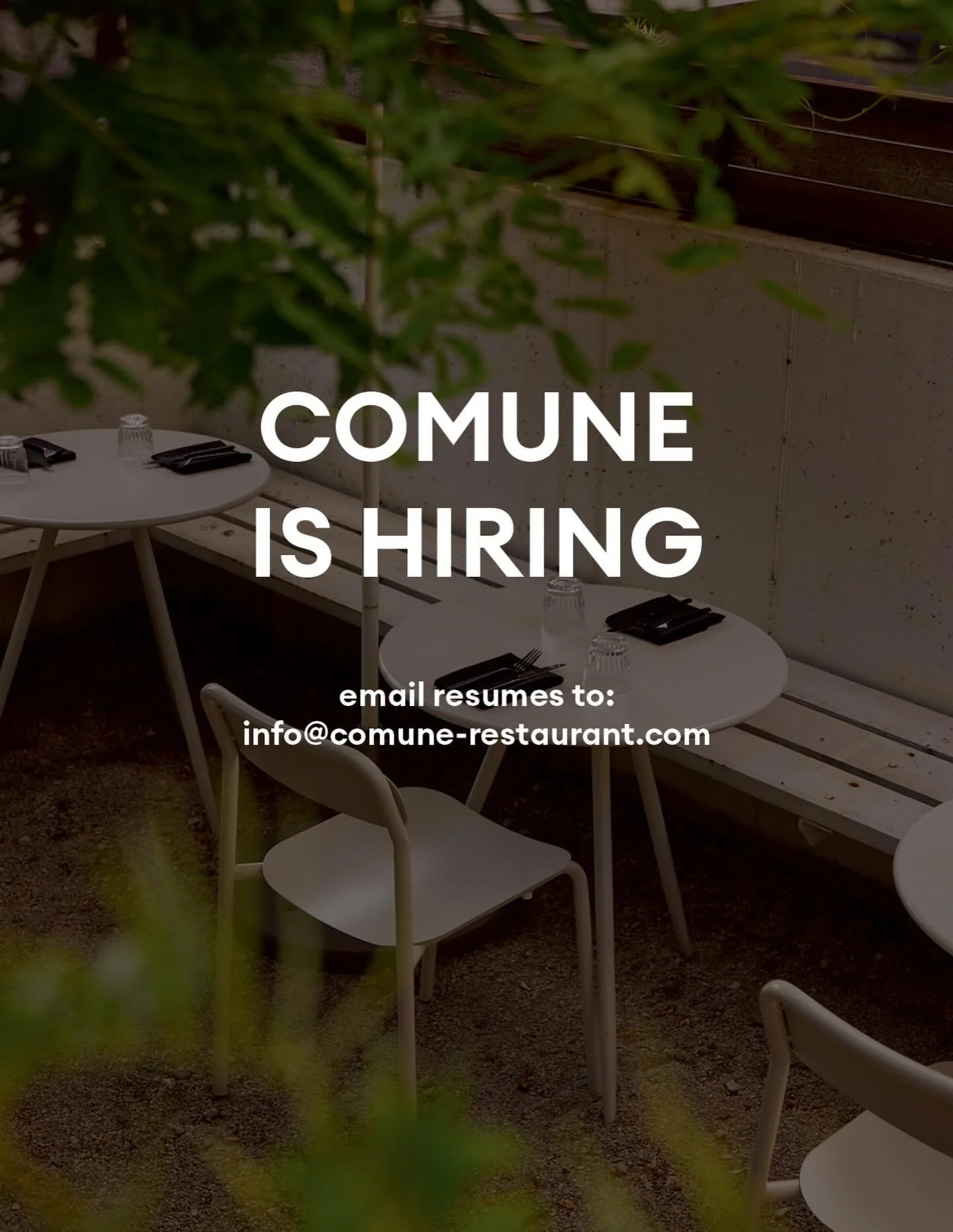 HIRING FOR FRONT OF HOUSE

we run a pretty tight crew around here, so openings only come up so often. comune is currently looking for some front of house hospitality professionals (FT/PT) as spring is springing. 

if you like: 
-a small + mighty food