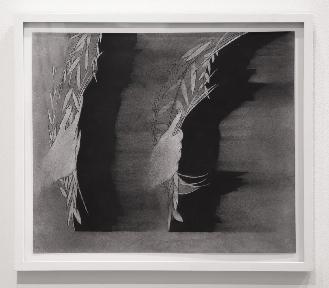 Frame by Frame | Charcoal on paper | 19 x 20" | 2015