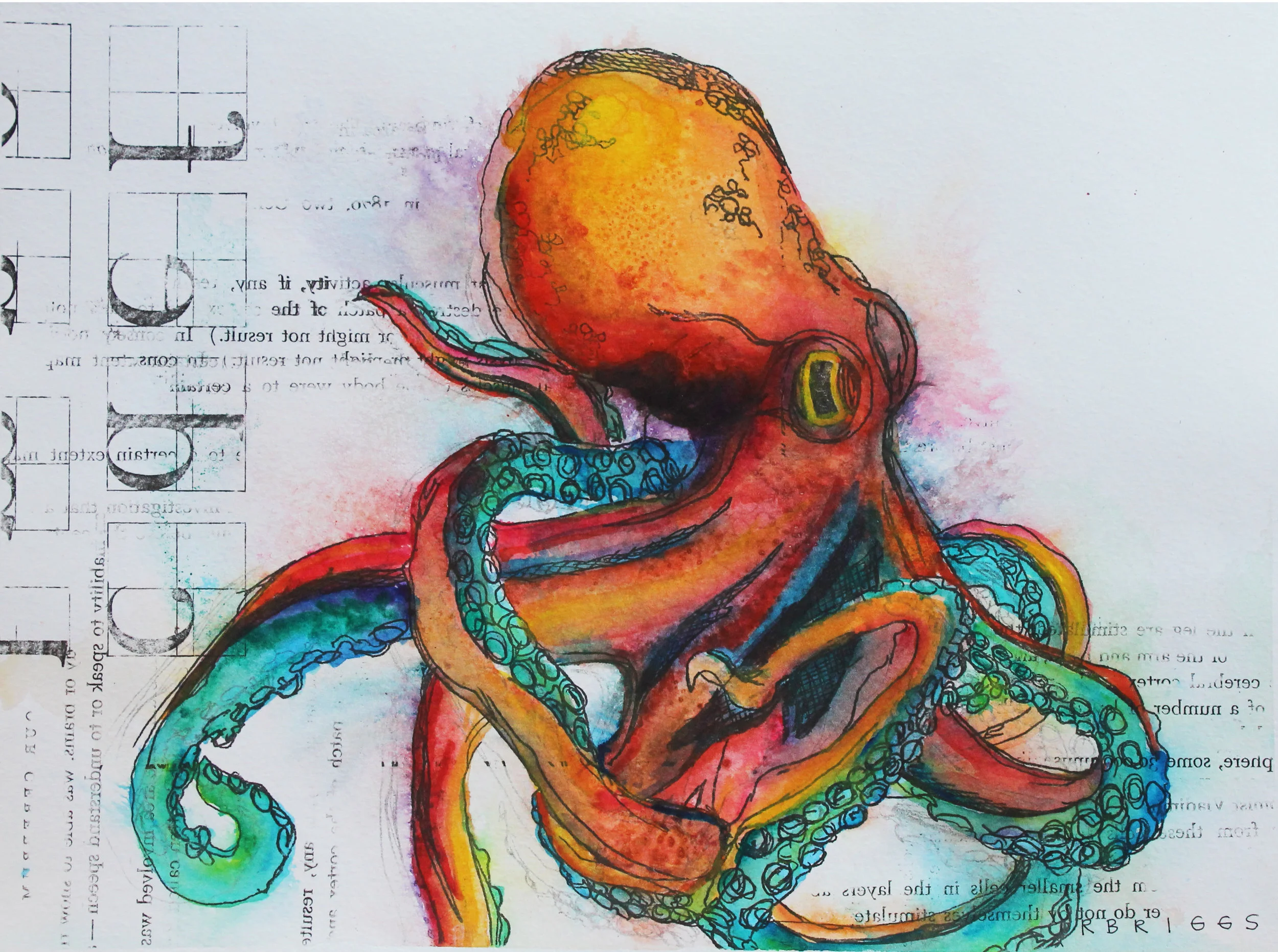 "Brainy Octopus"