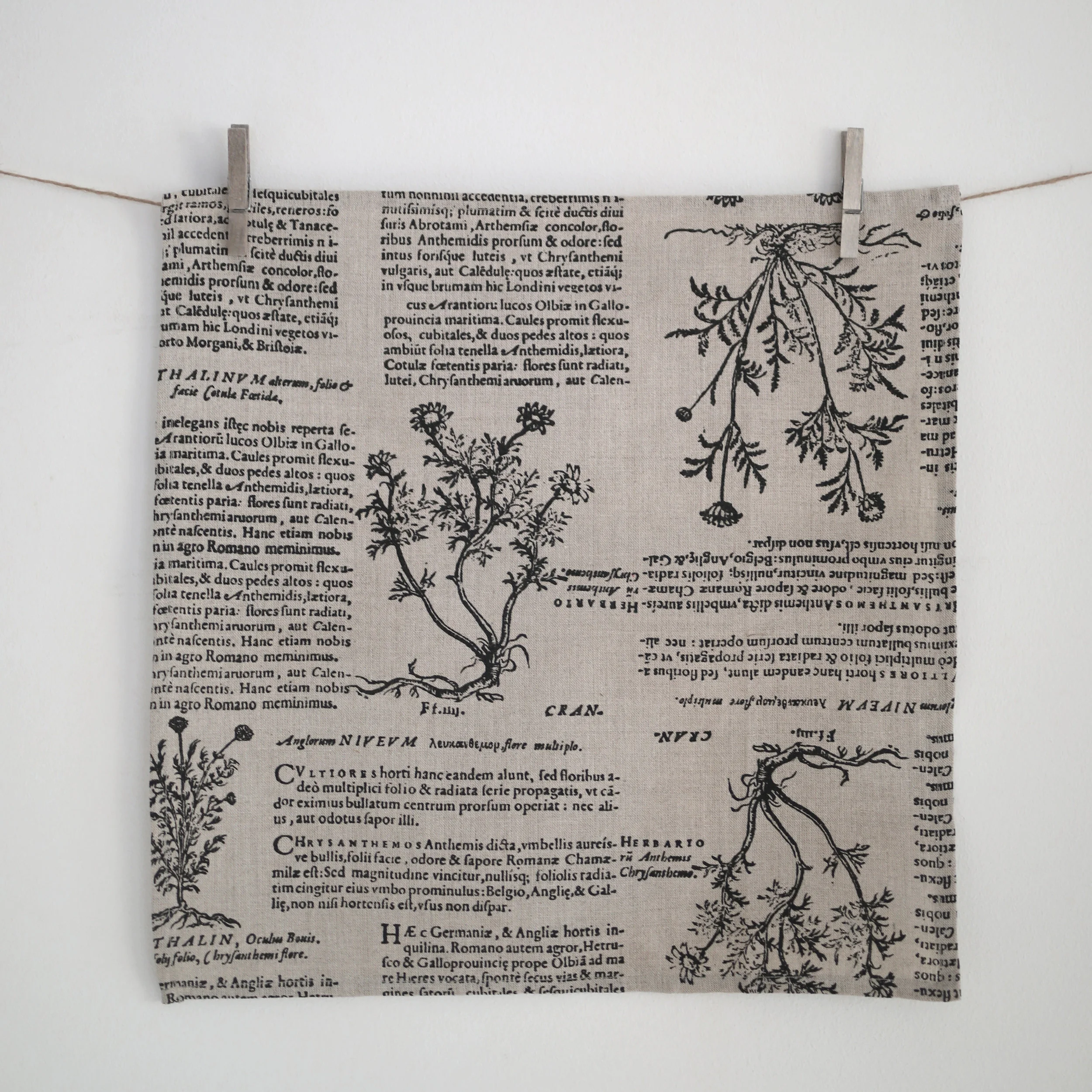 Napkin set in Latin Herbal black