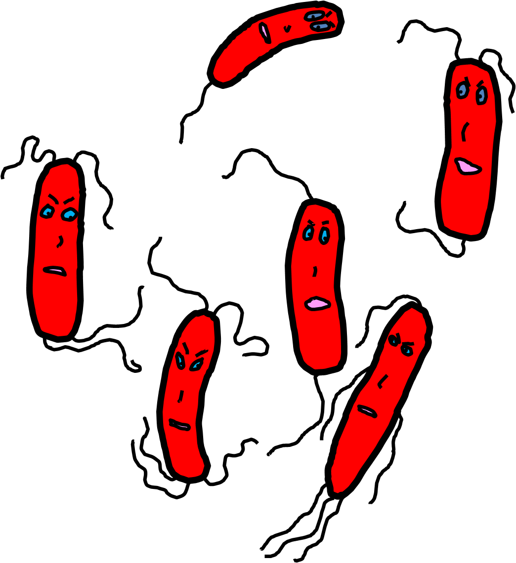 Bad Bactera.png