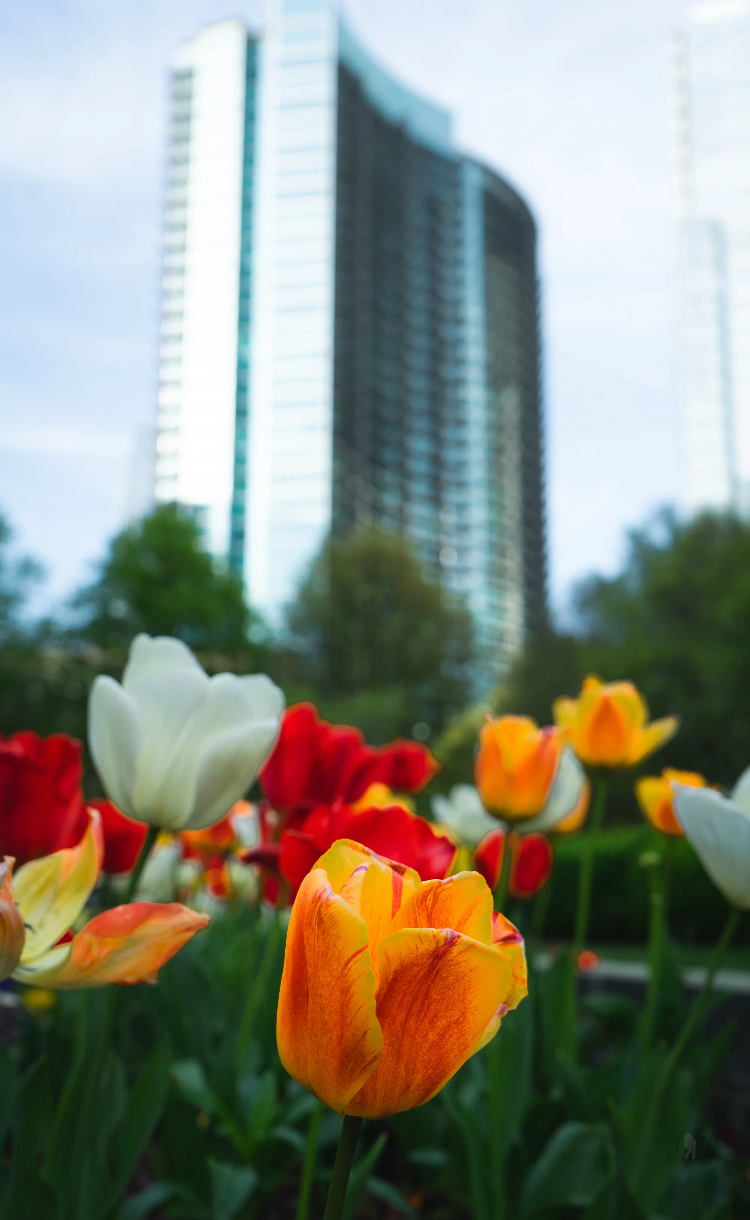 Spring