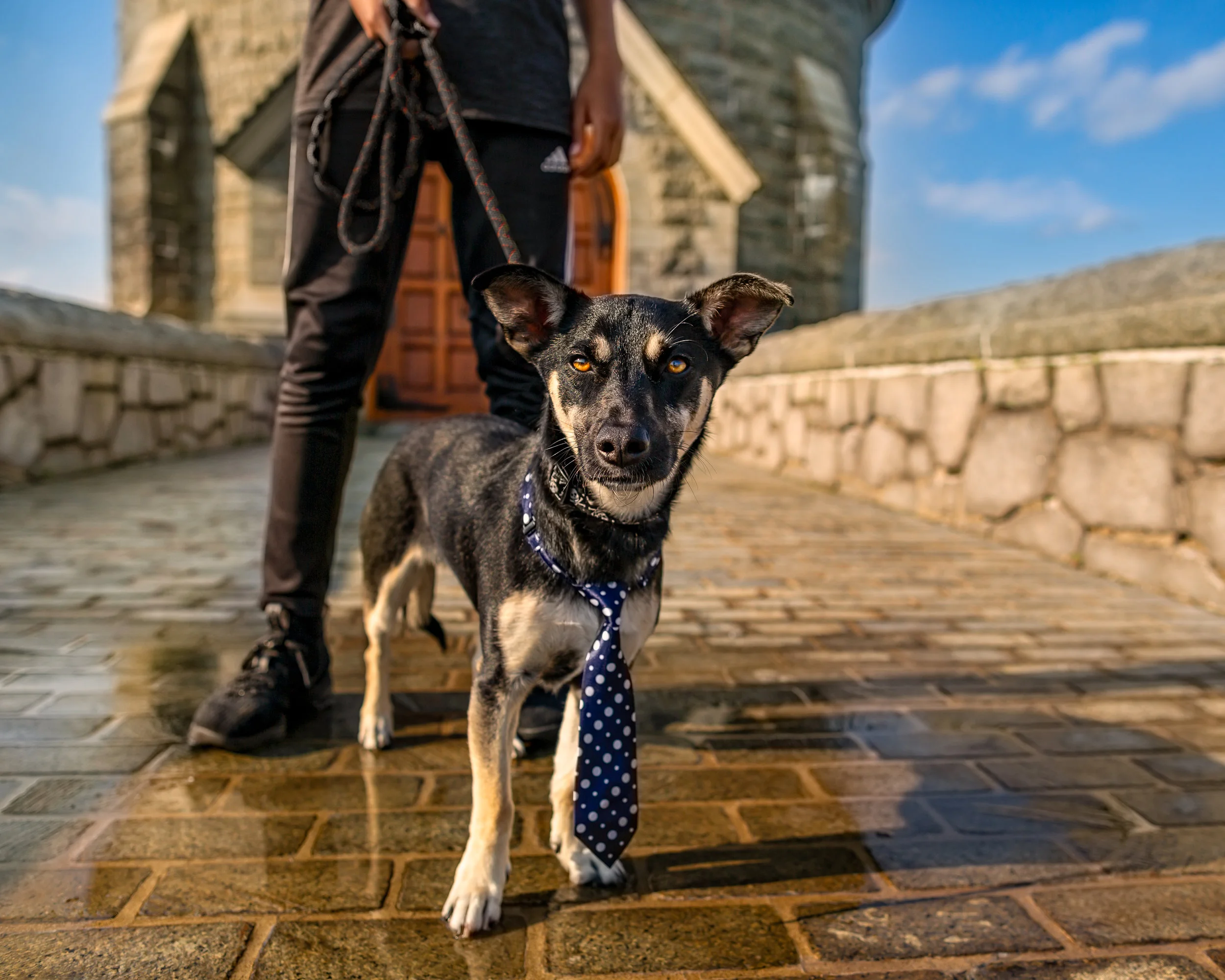 Western Mass photographer