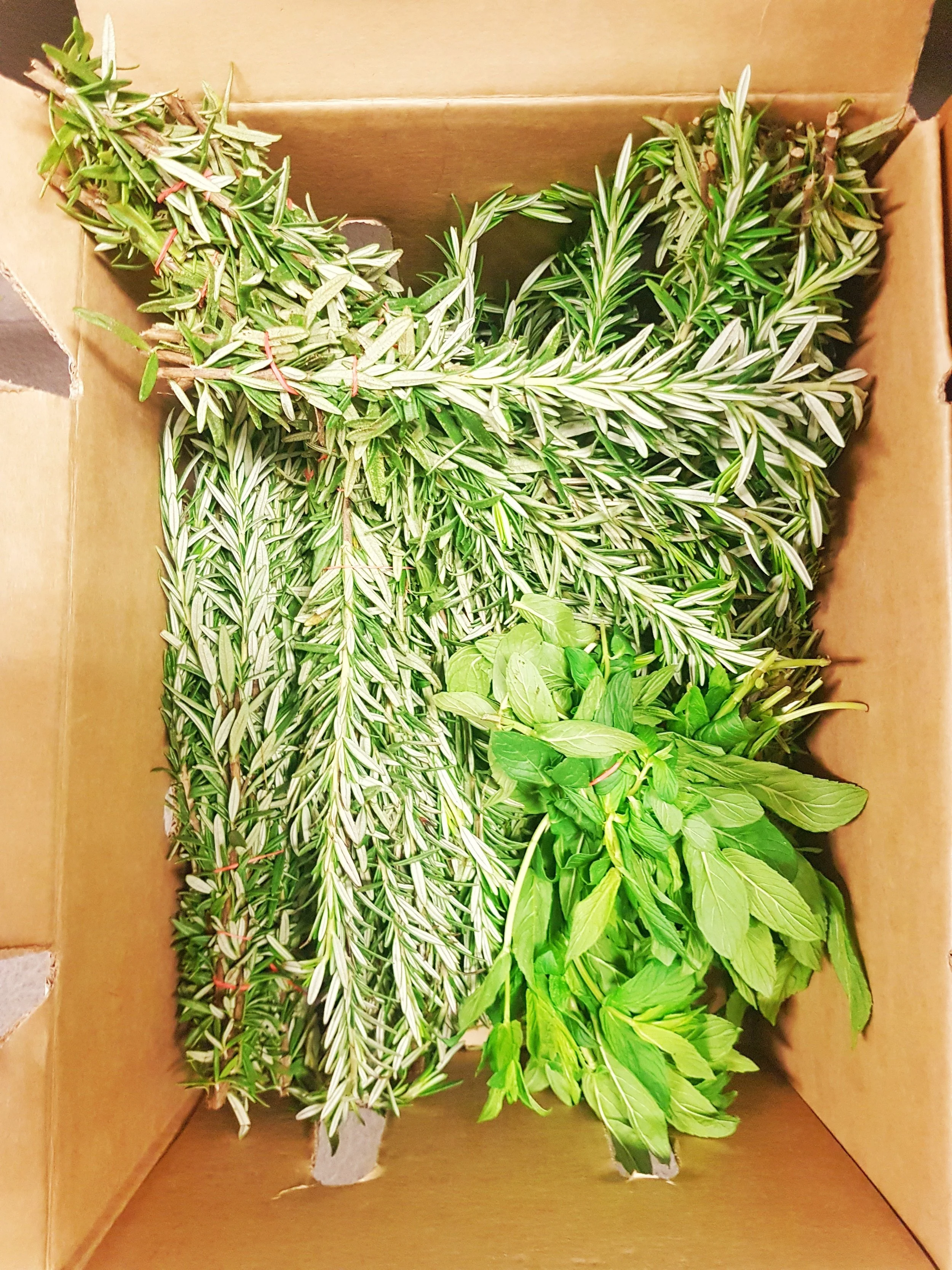 What is an 'Eatery'? 