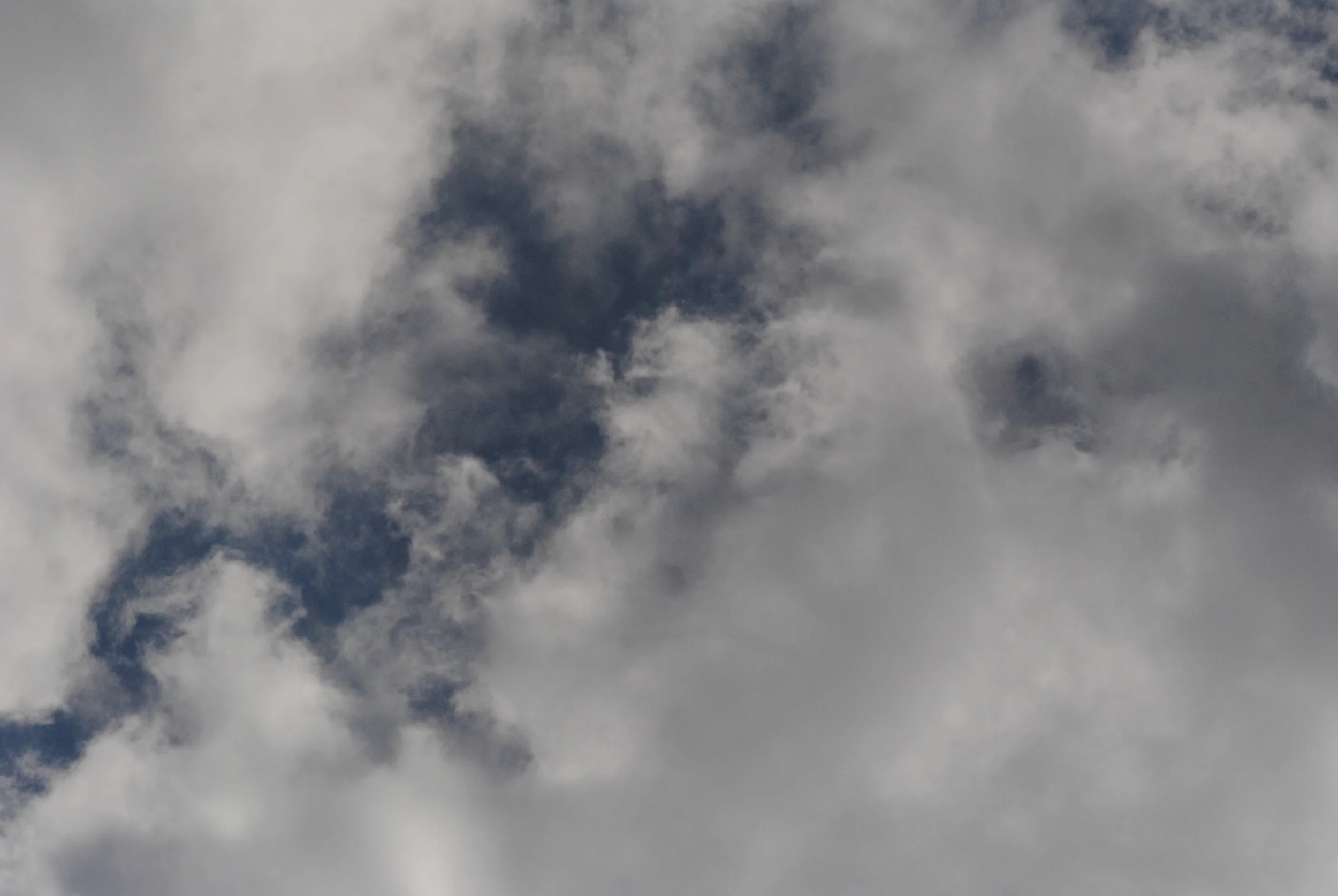 DSC_1045.JPG
