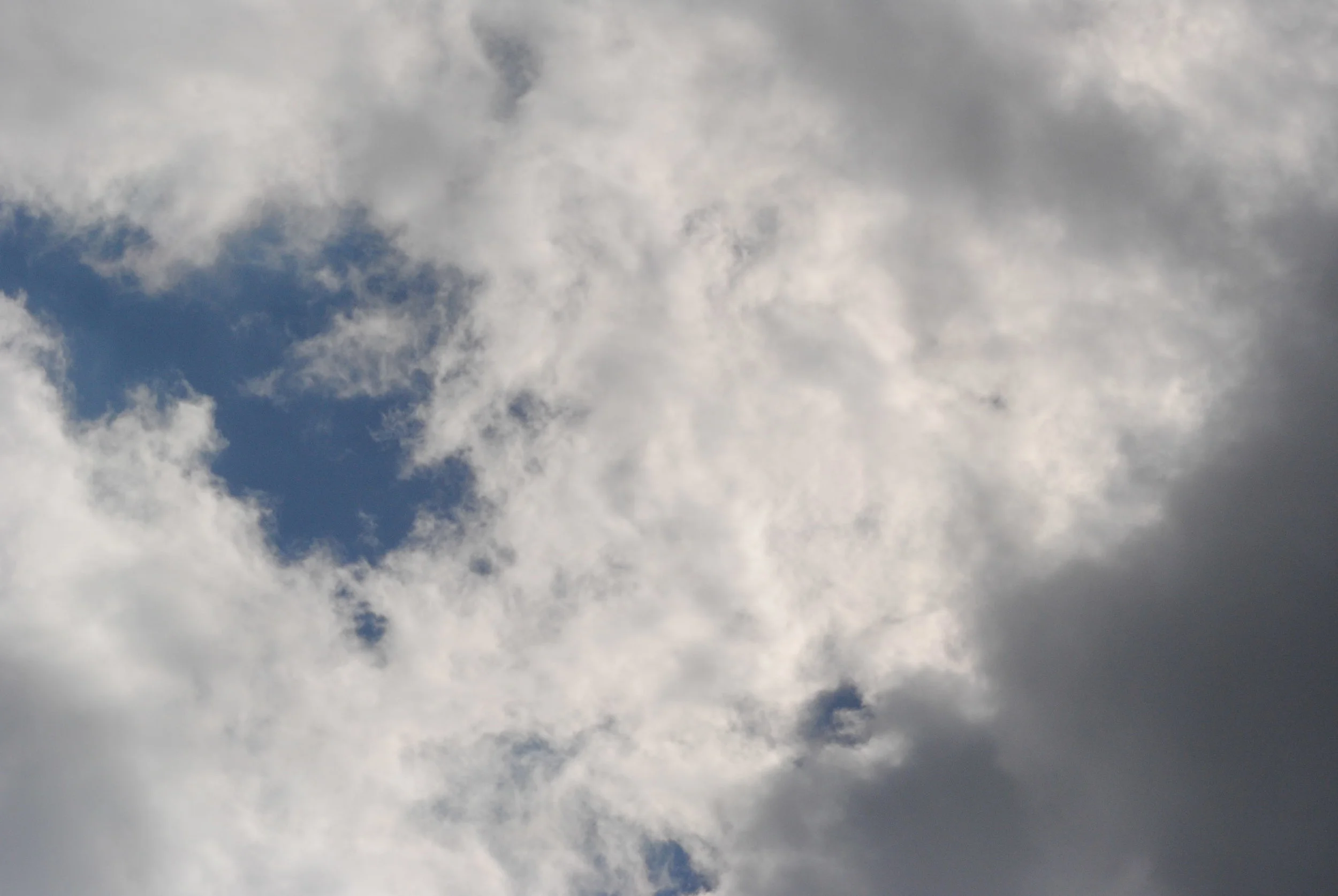 DSC_1046.JPG