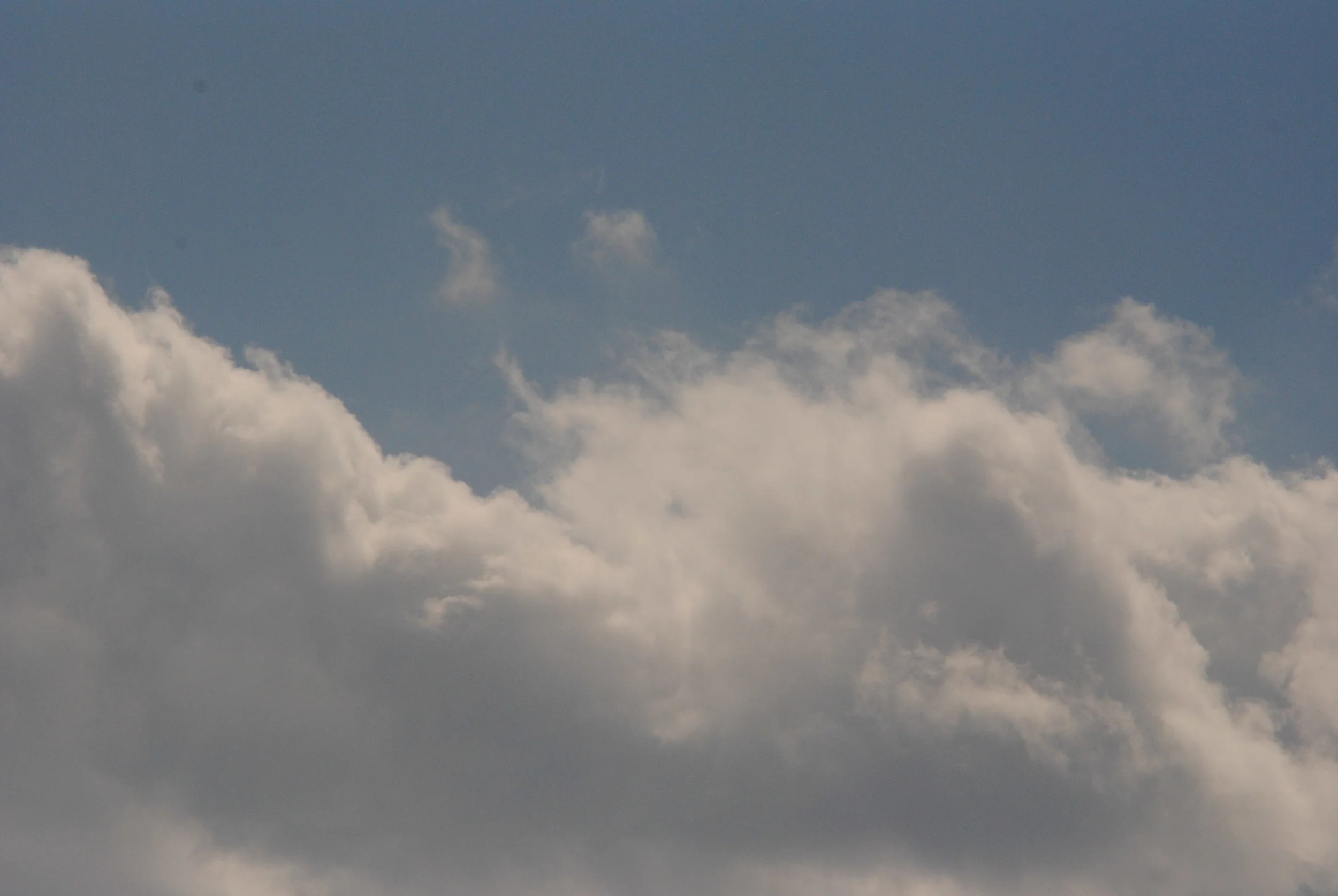 DSC_1083.JPG