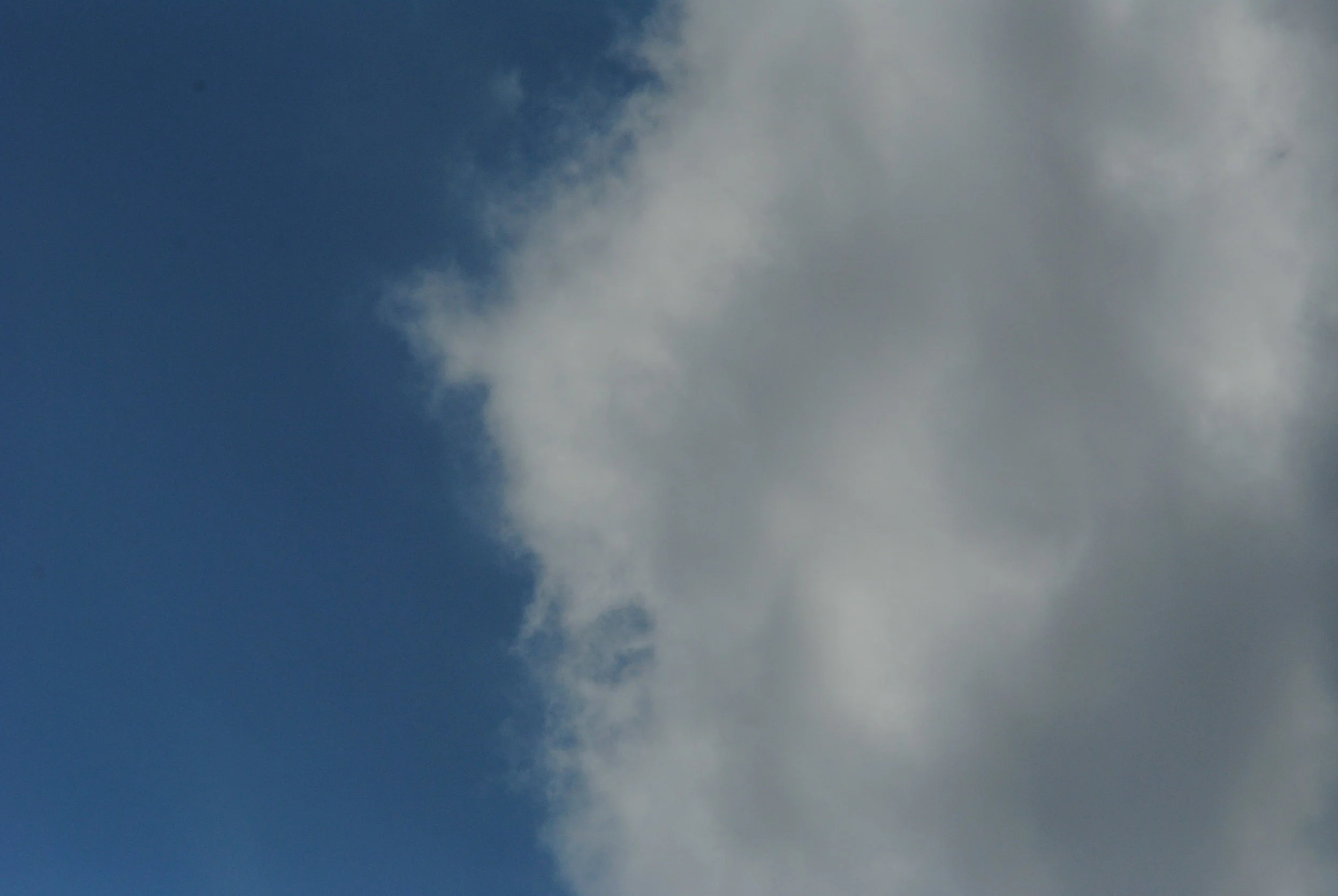 DSC_1091.JPG