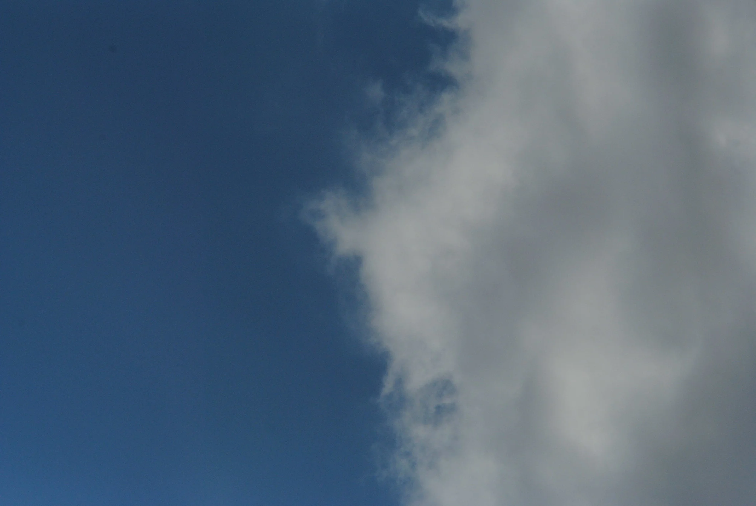 DSC_1090.JPG
