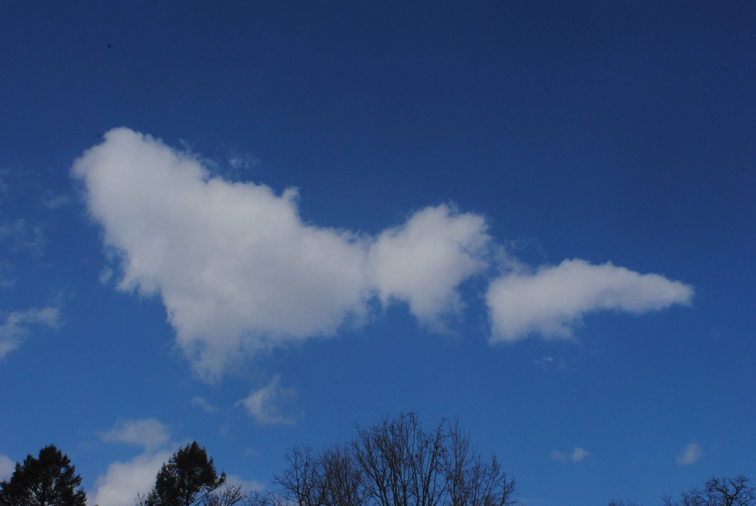 DSC_1157.JPG